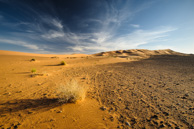 Marocco 2012 - Il deserto